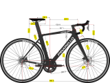 Pinarello Dogma X