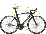 Pinarello Dogma X